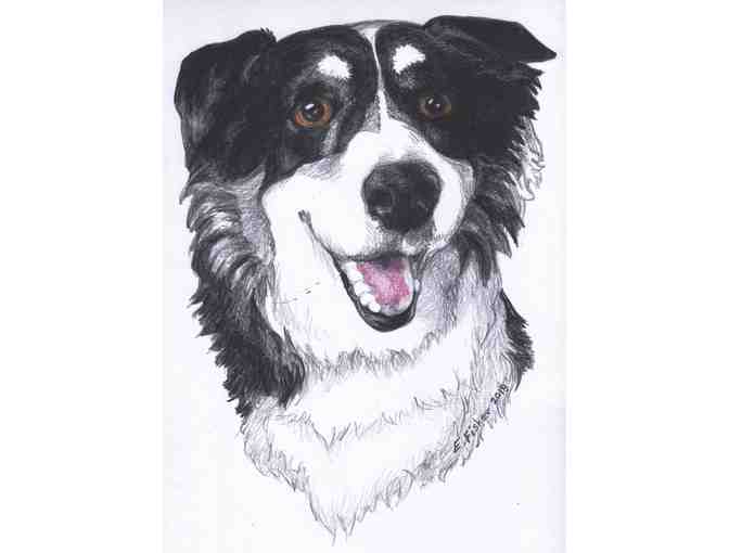 Original Pet Portrait