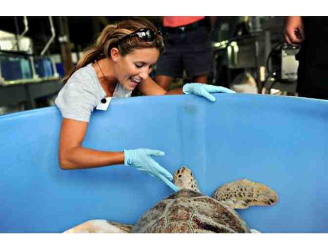 Florida Oceanographic Society - Stuart, FL. - Four (4) One Day Admission Passes