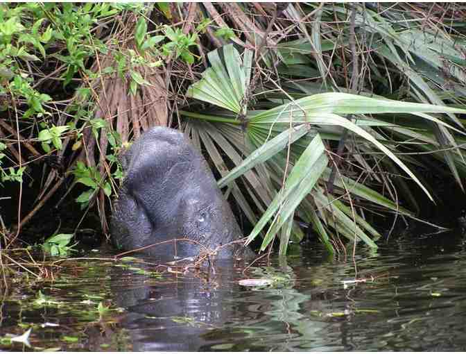 Florida Oceanographic Society - Stuart, FL. - Four (4) One Day Admission Passes