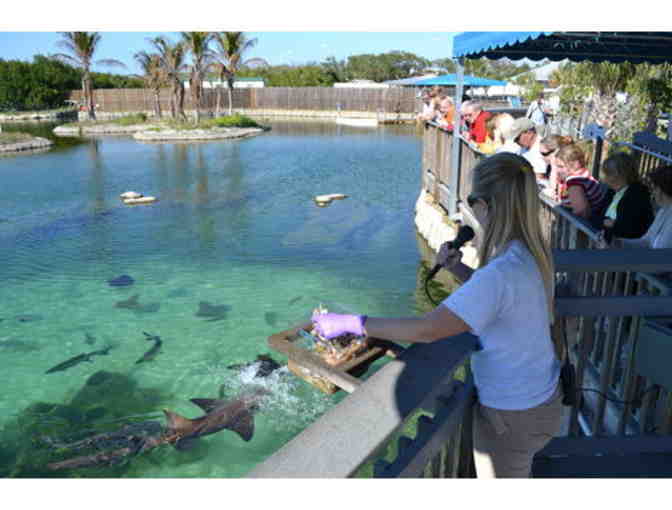 Florida Oceanographic Society - Stuart, FL. - Four (4) One Day Admission Passes