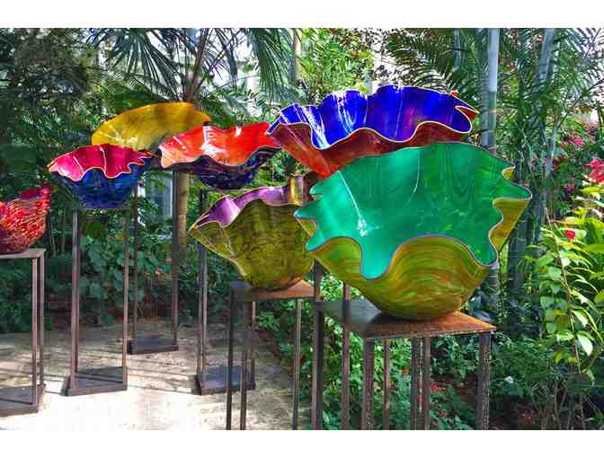 Fairchild Tropical Botanic Garden - A Family Membership