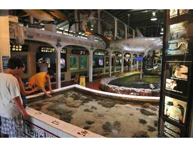 Key West Aquarium - Four (4) VIP Passes