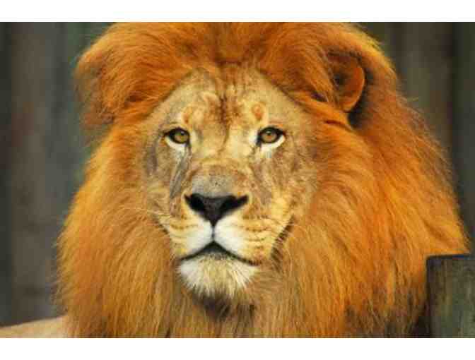 Naples Zoo at Caribbean Gardens - A Family Pack of Admission Tickets