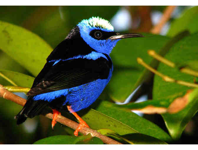 Butterfly World - Two (2) Admission Tickets