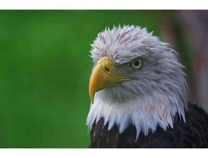 Flamingo Gardens - Two (2) Admission Tickets