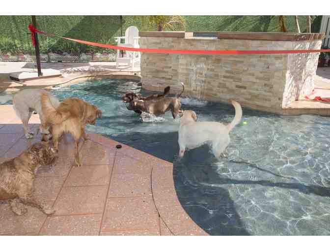 Very Important Paws - A Five (5) Day Daycare Package