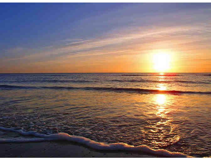 The Tropics Boat Tours - Admission for Two (2) on any One Dolphin Tour or Sunset Cruise