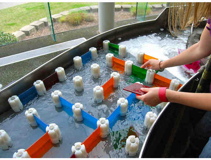 Creative Discovery Museum - Chattanooga, TN. - Four (4) Admission Tickets