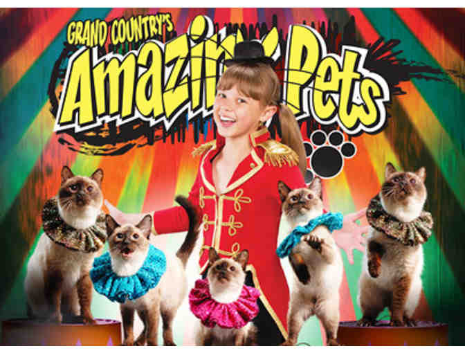 Grand Country Music Hall - Branson, MO - Two (2) Tickets to any scheduled show