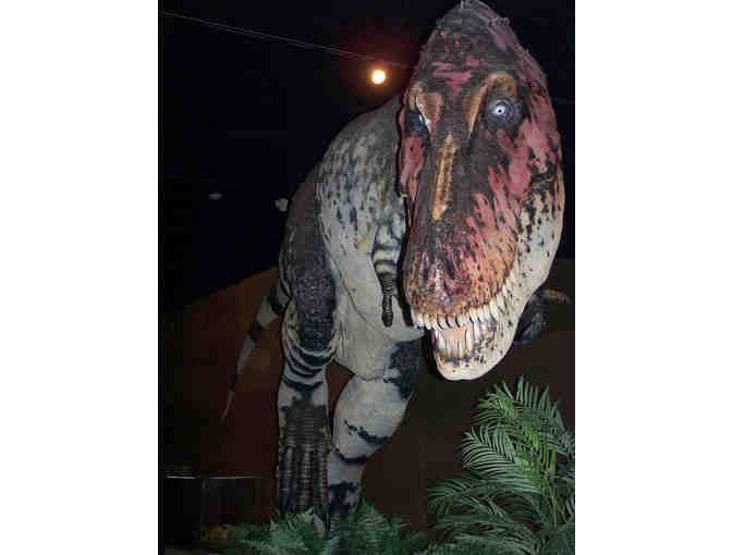 Branson Dinosaur Museum - Branson, MO. - Two (2) Admission Tickets