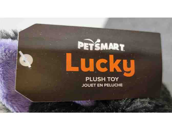 Lucky - The Cat - NWT