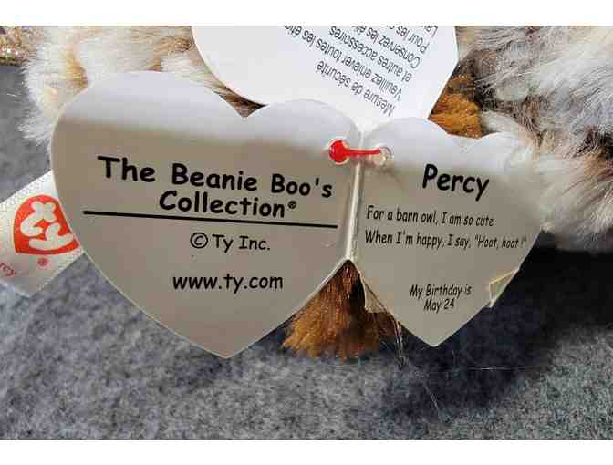 Percy - TY Beanie Boo's Owl