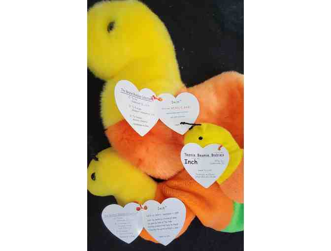 TY Beanie - Inch the Inchworm Buddy, Baby and Teenie Baby