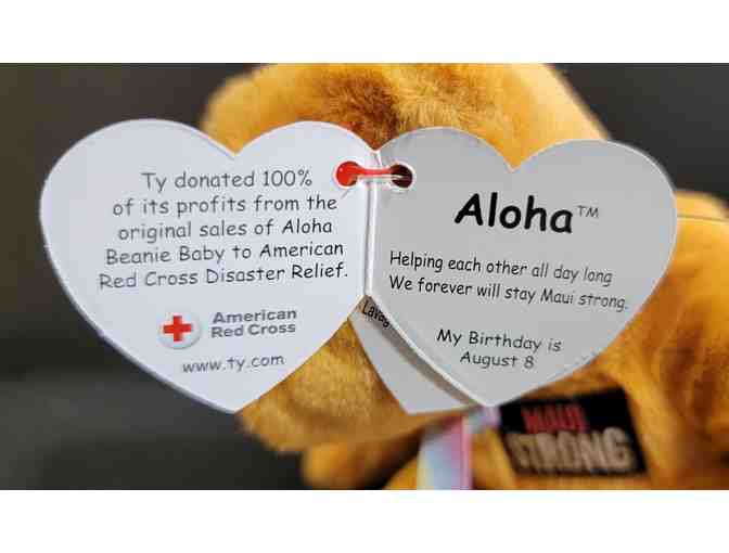 TY Maui Strong Bears