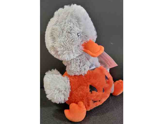 Happy - Petsmart Halloween Pumpkin Duck