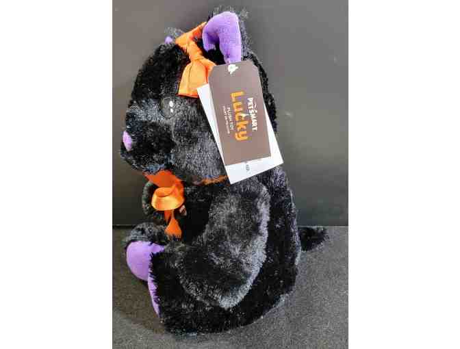 Lucky Petsmart Black Cat with Orange Bow