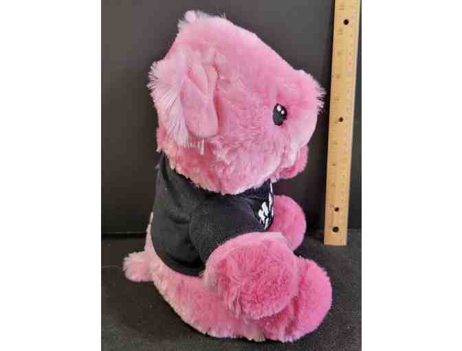 Fate Petsmart Happy Halloween Pig - Glows in the dark