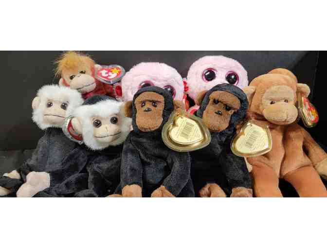 Lot of Nine - TY Monkeys