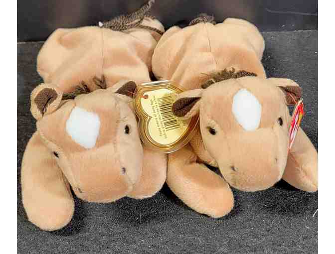 Lot of two - TY Derby the Horse