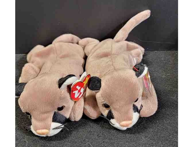 Lot of two - TY Canyon the Cougar