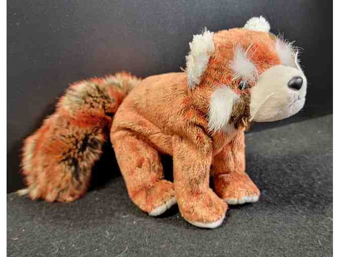 TY Rusty the Raccoon