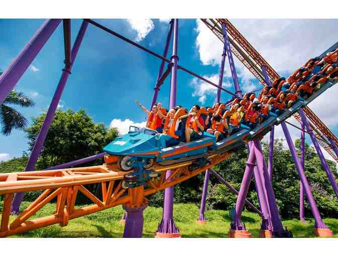 Wonder Works- Orlando