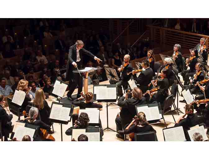 Live Music Immersion