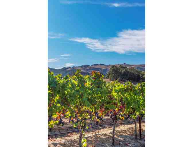 Wine flight of 3 Bottles from Owl Ridge