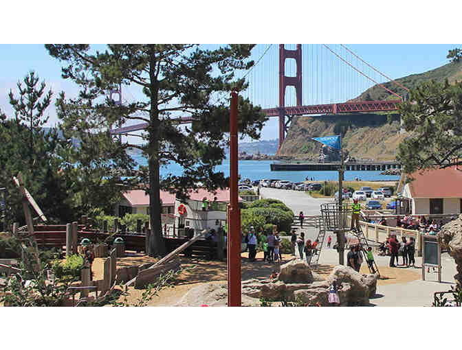 Bay Area Family Adventures