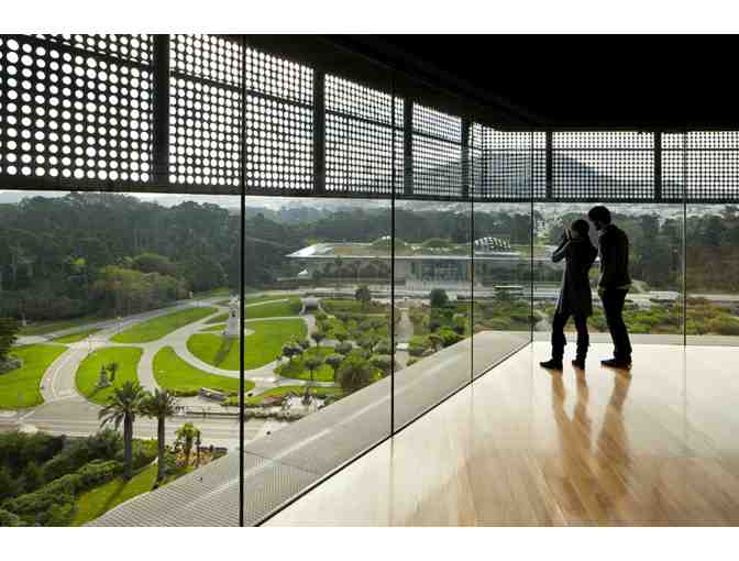 Bay Area Family Adventures