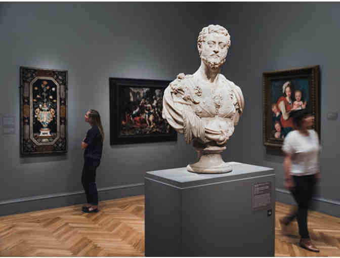 Bay Area Family Adventures