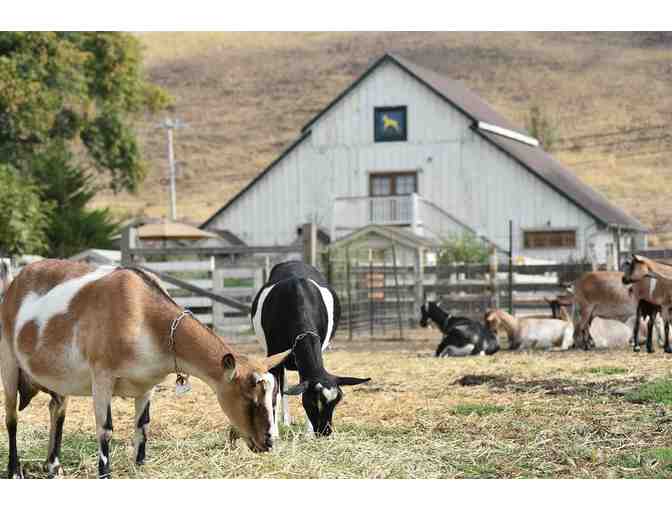 Harley Farms Private Tour for Ten Guests