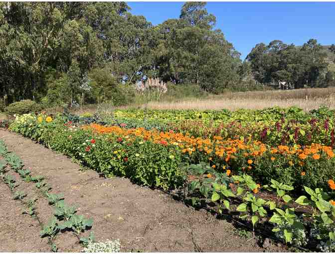 Watercolor Nature Journaling Workshop at HEAL Farm Sunday, June 9th, 10am-12:30 pm