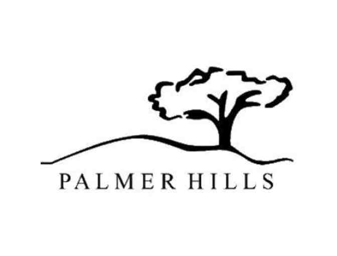 Palmer Hills Golf Course Outing