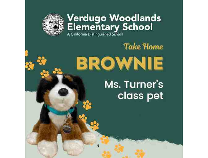*VW* Take Home Brownie, Ms. Turner's Class Pet! - Photo 1