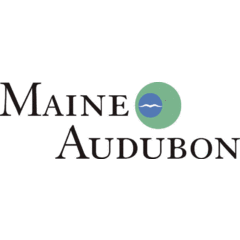 Maine Audubon