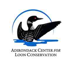Adirondack Center for Loon Conservation