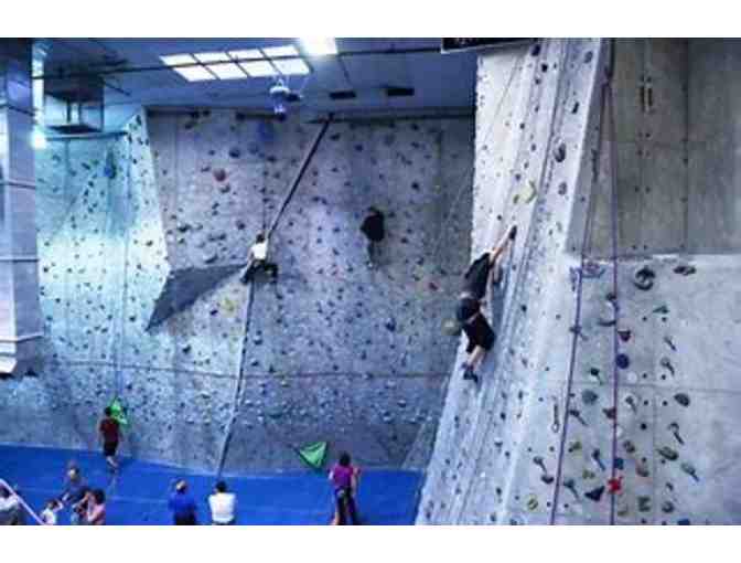 Anatomie Personal Training & Rocksport Climbing