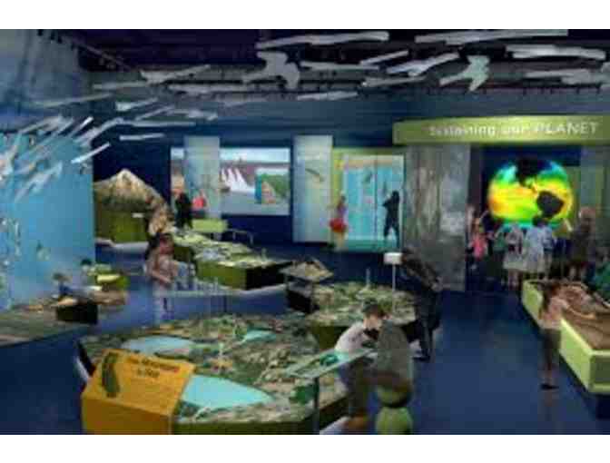 Sacramento Family Fun Day