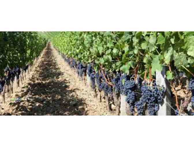 VIP Bordeaux Wine Experience