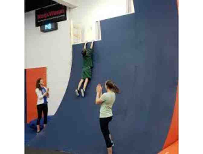 Not For Your Average Turtle: Your Chance to Be a Ninja