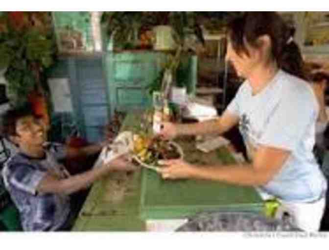 Sol Food - $50 Gift Card