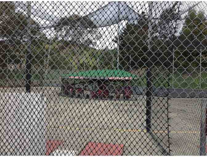 McInnis Park Golf Center - mini golf for four (4) people + (4) batting cage tokens