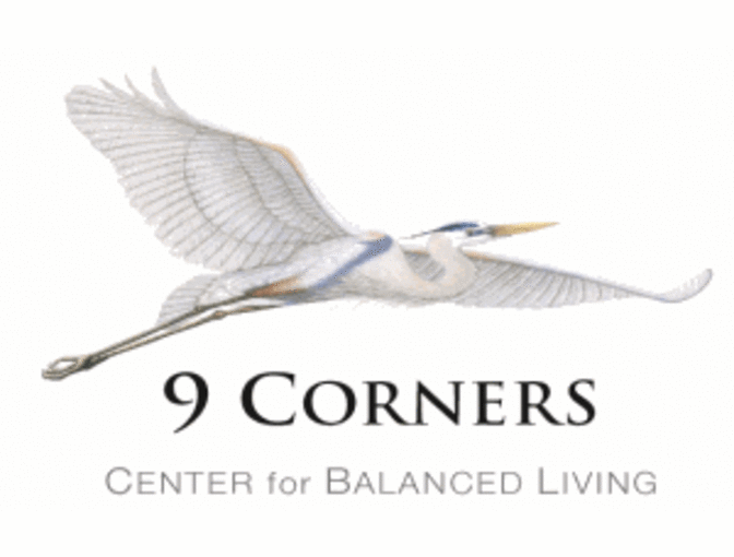 Vital Life Reset-Your-Life Package from 9 Corners