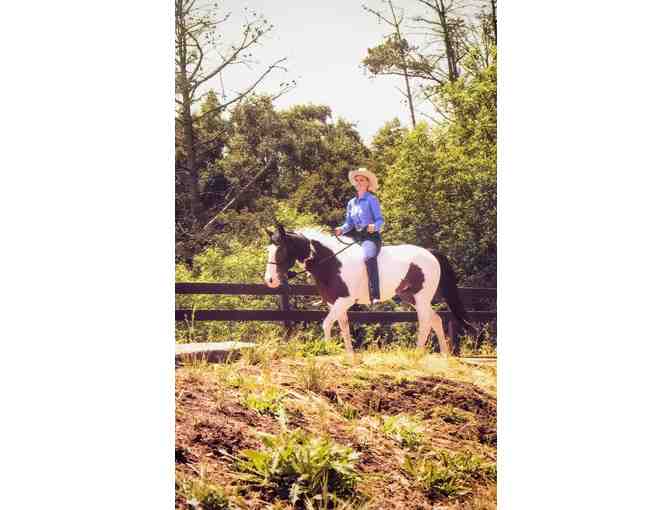 Intro to Natural Horsemanship - Count Me In! Party