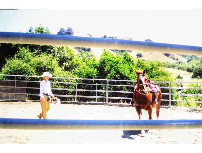 Intro to Natural Horsemanship - Count Me In! Party