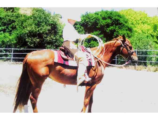 Intro to Natural Horsemanship - Count Me In! Party