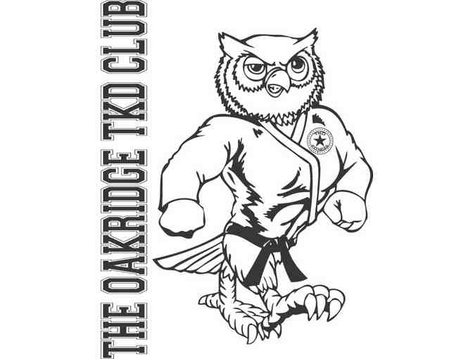 Owls TaeKwonDo Summer Session