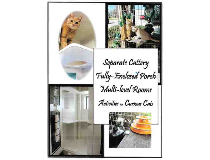 Pet Resort in the Gardens - Weekend Getaway Special