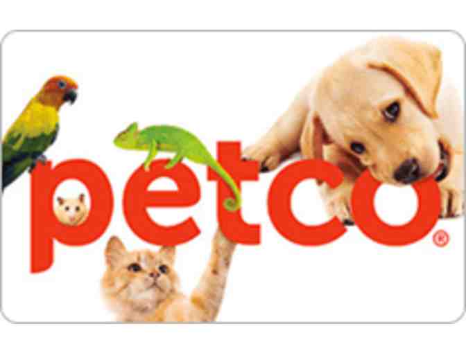 Petco Grooming Service